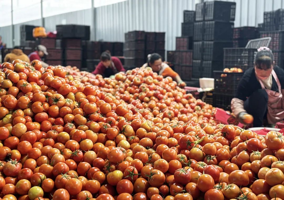 于都富硒水果有哪些品种（于都富硒产业发展中心）-硒宝网