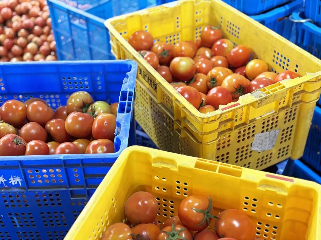 于都富硒水果有哪些品种（于都富硒产业发展中心）-硒宝网