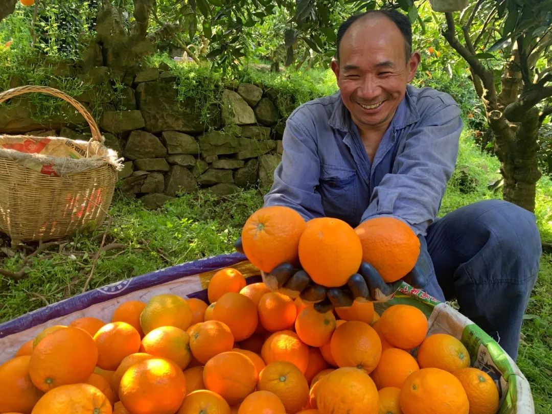 哪些水果属于富硒果子呢(果子水果属于富硒食物吗)-硒宝网