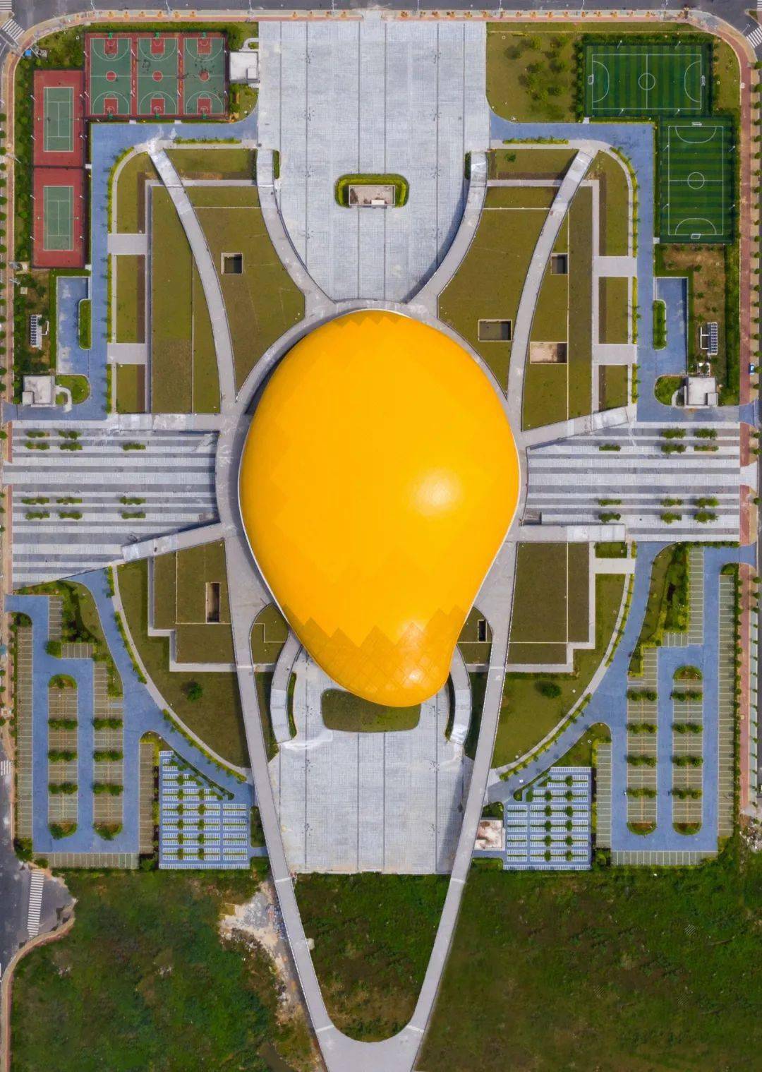 哪些水果属于富硒果子呢(果子水果属于富硒吗)-硒宝网