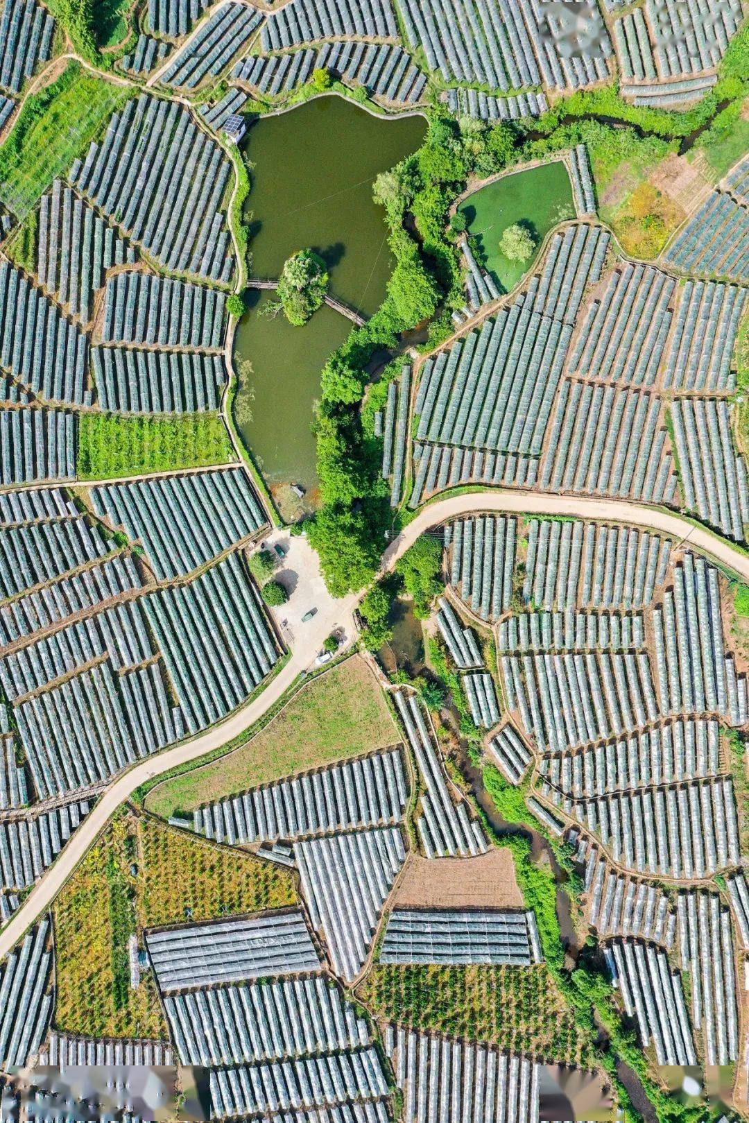 哪些水果属于富硒果子呢(果子水果属于富硒吗)-硒宝网