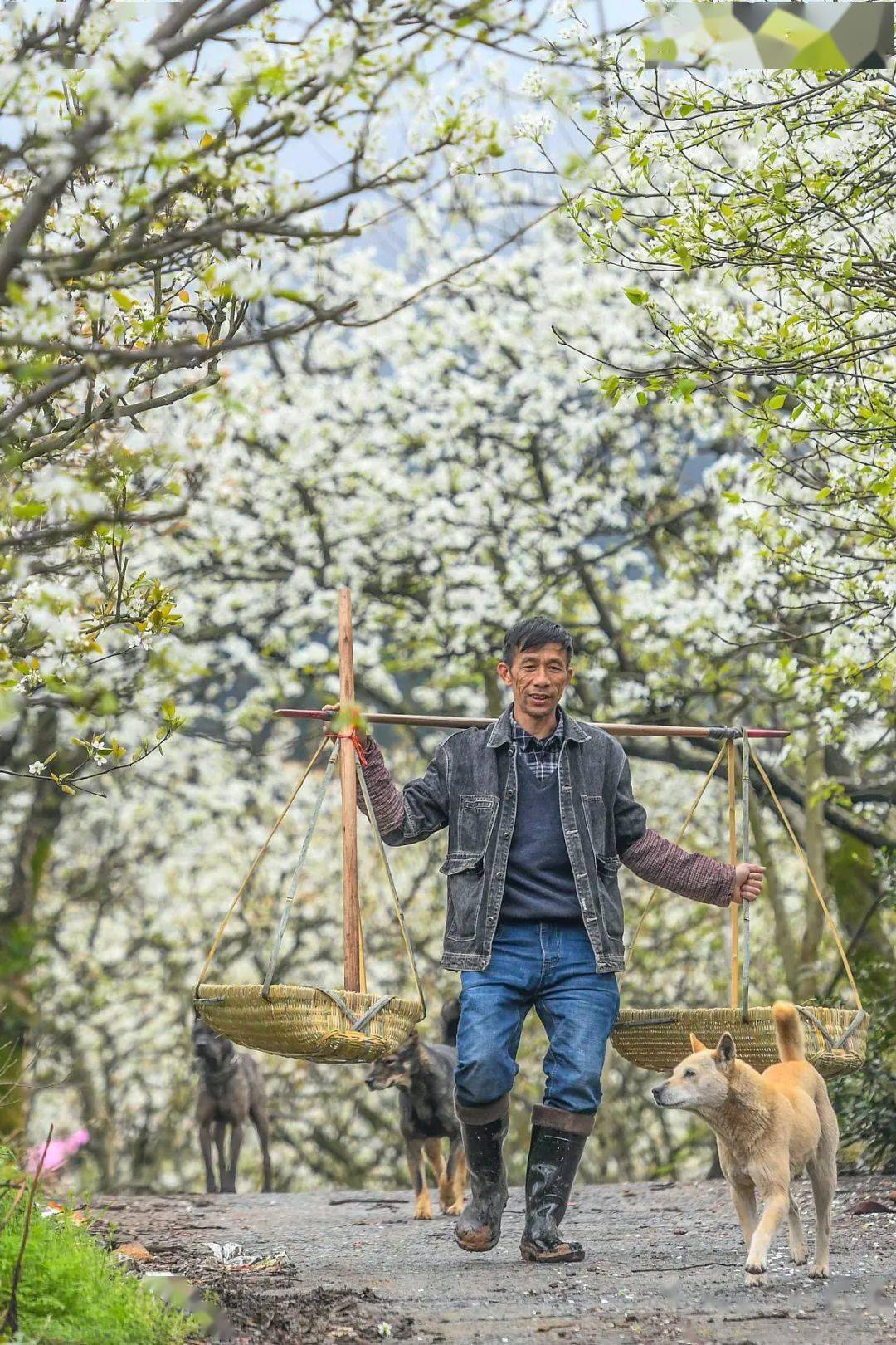 哪些水果属于富硒果子呢(果子水果属于富硒吗)-硒宝网