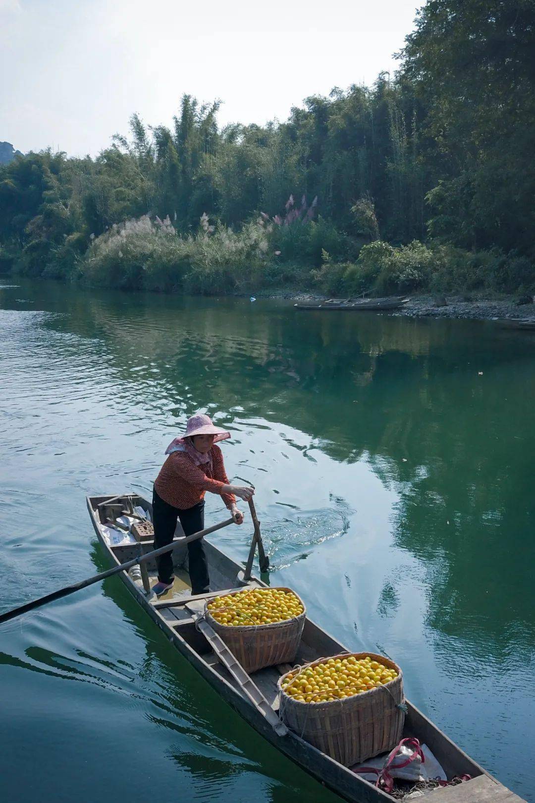 哪些水果属于富硒果子呢(果子水果属于富硒吗)-硒宝网