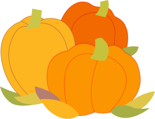 新疆富硒特产是什么水果（新疆富硒大米）-硒宝网