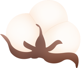 新疆富硒特产是什么水果（新疆富硒大米）-硒宝网