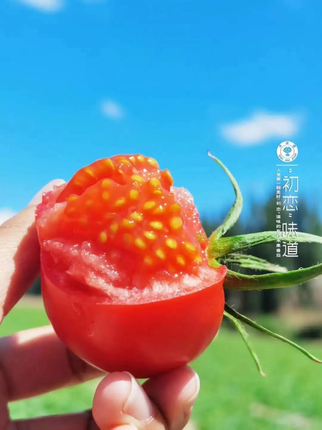 新疆富硒特产是什么水果（新疆富硒大米）-硒宝网