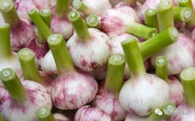 富硒水果柿子的功效作用（富有柿子的功效）-硒宝网