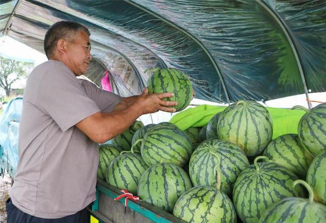富硒土壤种植什么水果好(水果种植土壤富硒好不好)-硒宝网
