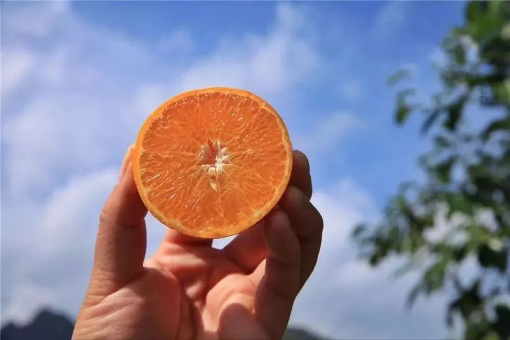 含有富硒的水果推荐美白(美白水果含有推荐富硒吗)-硒宝网