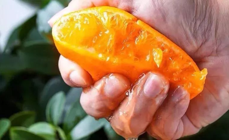 含有富硒的水果推荐美白(美白水果含有推荐富硒吗)-硒宝网