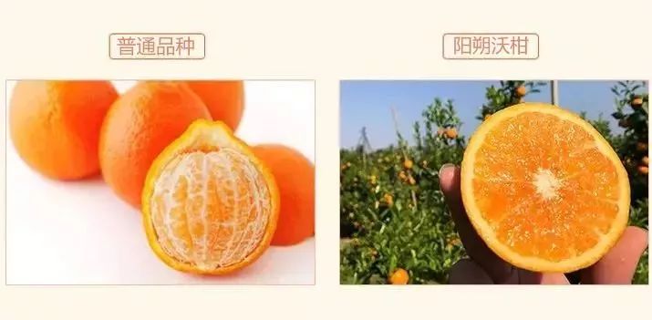 含有富硒的水果推荐美白(美白水果含有推荐富硒吗)-硒宝网