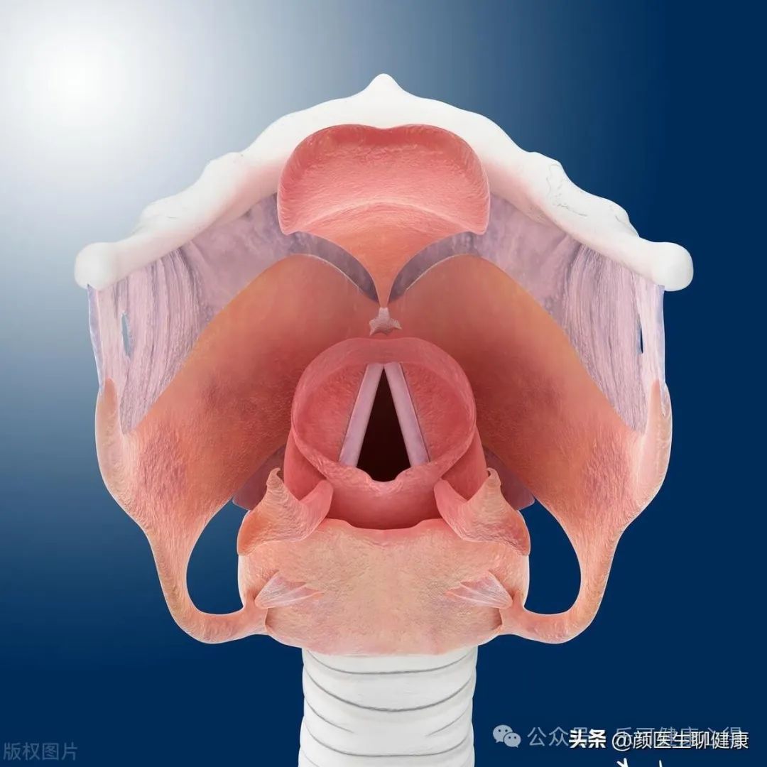 富硒水果的吃法有哪些呢（为什么富硒水果会好吃一些）-硒宝网