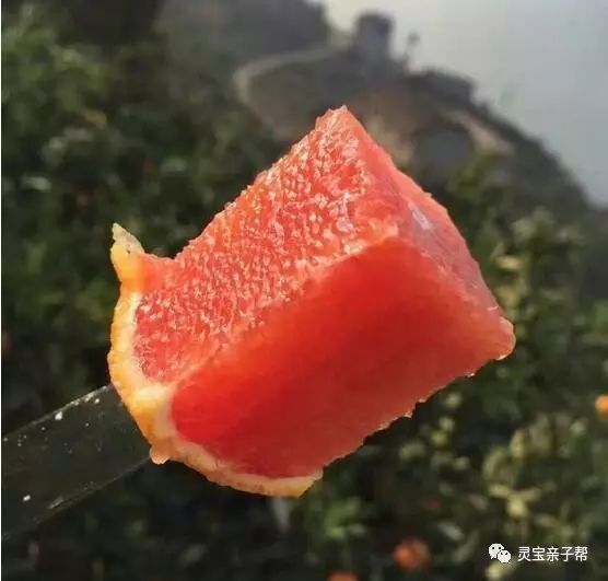 含有富硒的水果推荐美白(具有美白作用的水果)-硒宝网