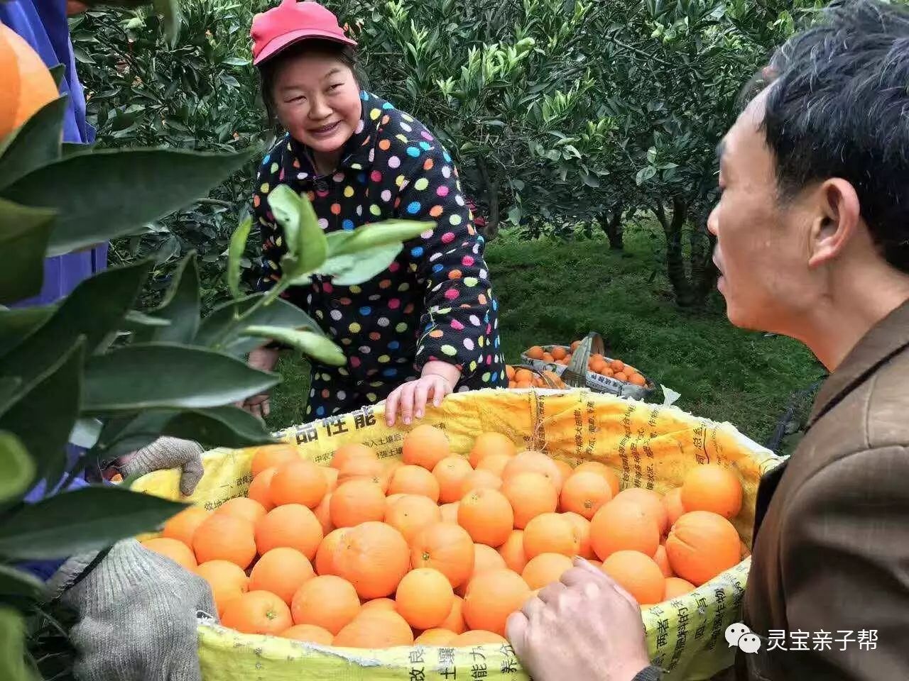 含有富硒的水果推荐美白(具有美白作用的水果)-硒宝网