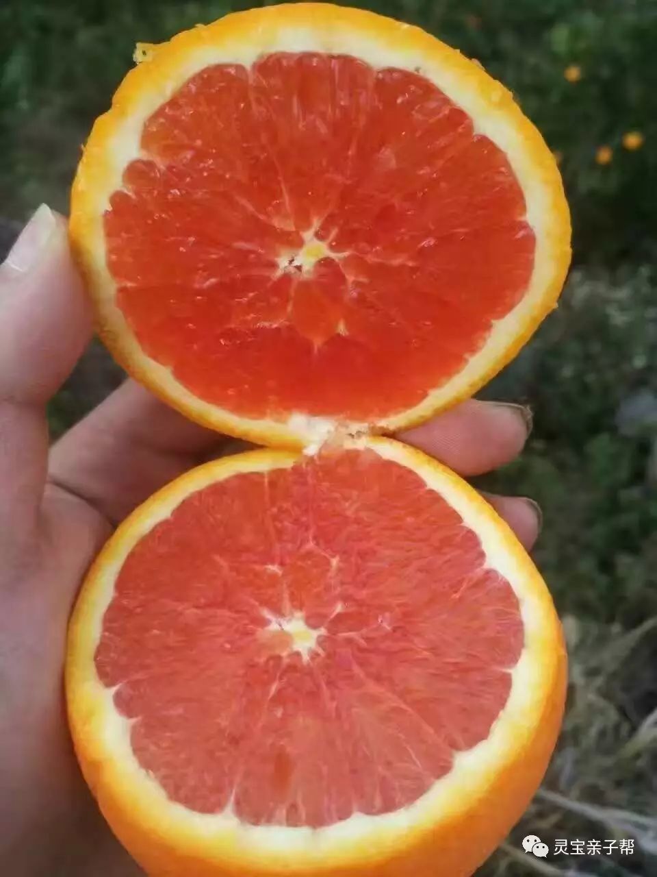 含有富硒的水果推荐美白(具有美白作用的水果)-硒宝网