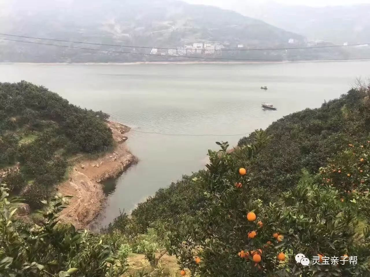 含有富硒的水果推荐美白(具有美白作用的水果)-硒宝网