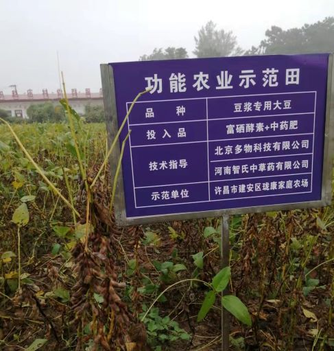 咋样能种植含富硒的水果（哪种水果富含硒元素）-硒宝网