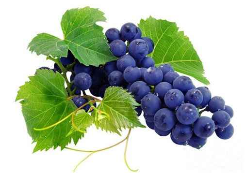 咋样能种植含富硒的水果（哪种水果富含硒元素）-硒宝网