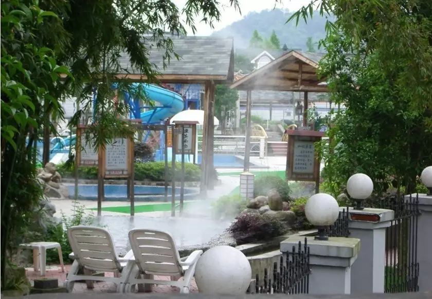 含有富硒的水果推荐美白(富含美白的水果)-硒宝网