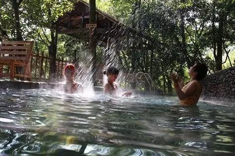 含有富硒的水果推荐美白(富含美白的水果)-硒宝网