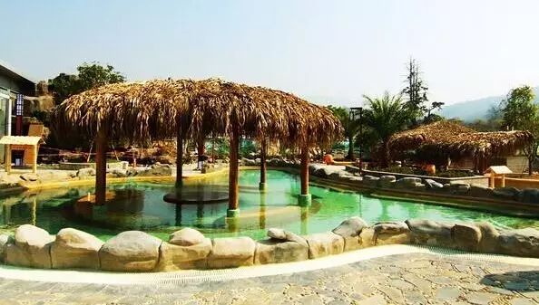 含有富硒的水果推荐美白(富含美白的水果)-硒宝网