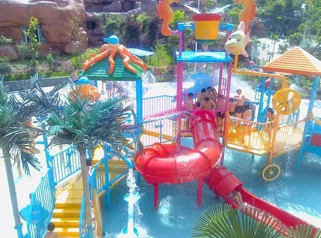 含有富硒的水果推荐美白(富含美白的水果)-硒宝网