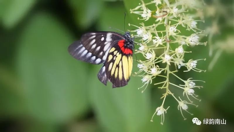 水果富硒含量标准是多少(含量水果标准富硒是什么)-硒宝网