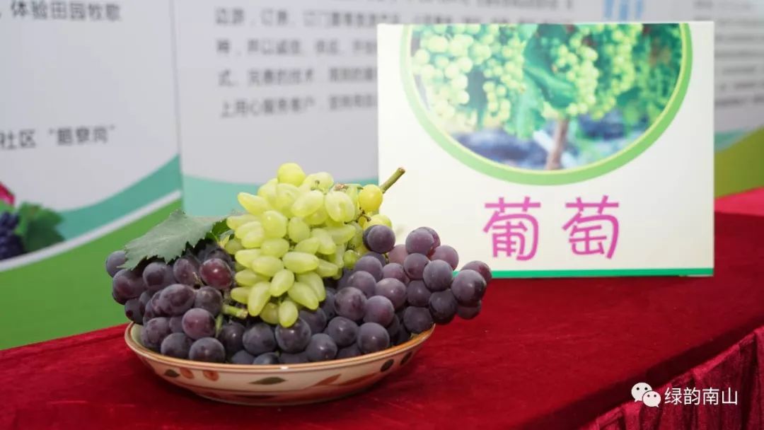 水果富硒含量标准是多少(含量水果标准富硒是什么)-硒宝网