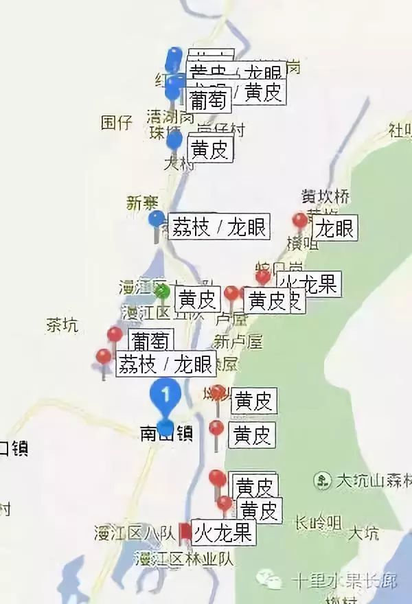 水果富硒含量标准是多少(含量水果标准富硒是什么)-硒宝网