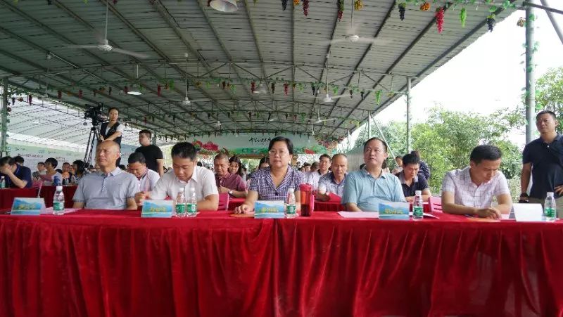 水果富硒含量标准是多少(含量水果标准富硒是什么)-硒宝网