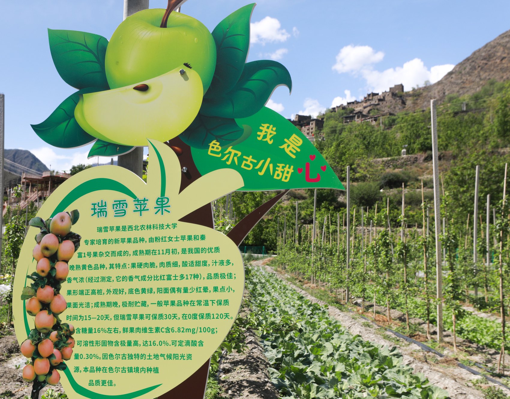 富硒特产水果店名字大全(特色水果名称)-硒宝网