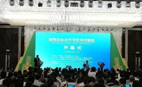 陕西安康富硒水果有哪些(陕西安康富硒产品)-硒宝网