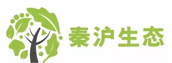 陕西安康富硒水果有哪些(陕西安康富硒产品)-硒宝网