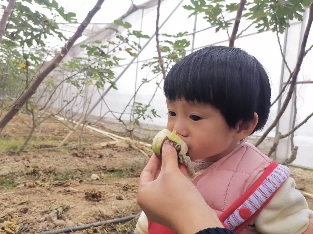 富硒水果哪里买的到好吃(富硒水果的标准是多少)-硒宝网
