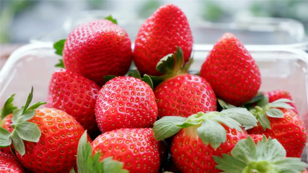 富硒水果哪里买的到好吃(富硒水果的标准是多少)-硒宝网