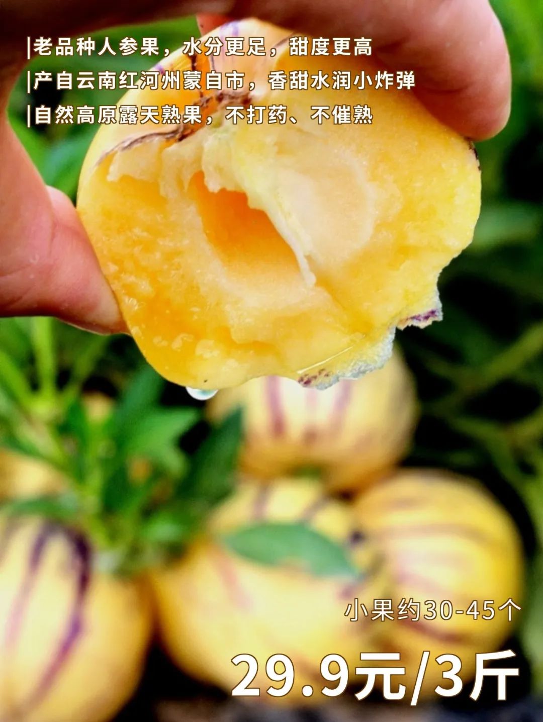 啥水果是富硒果子的味道(富硒对水果的作用如何)-硒宝网