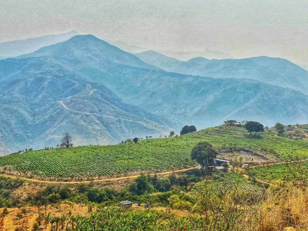 啥水果是富硒果子的味道(富硒对水果的作用如何)-硒宝网