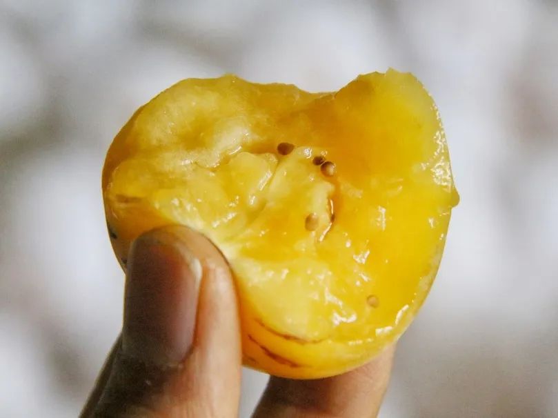 啥水果是富硒果子的味道(富硒对水果的作用如何)-硒宝网