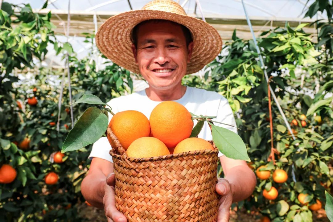 富硒水果哪里买的到好吃（富硒水果前十名）-硒宝网