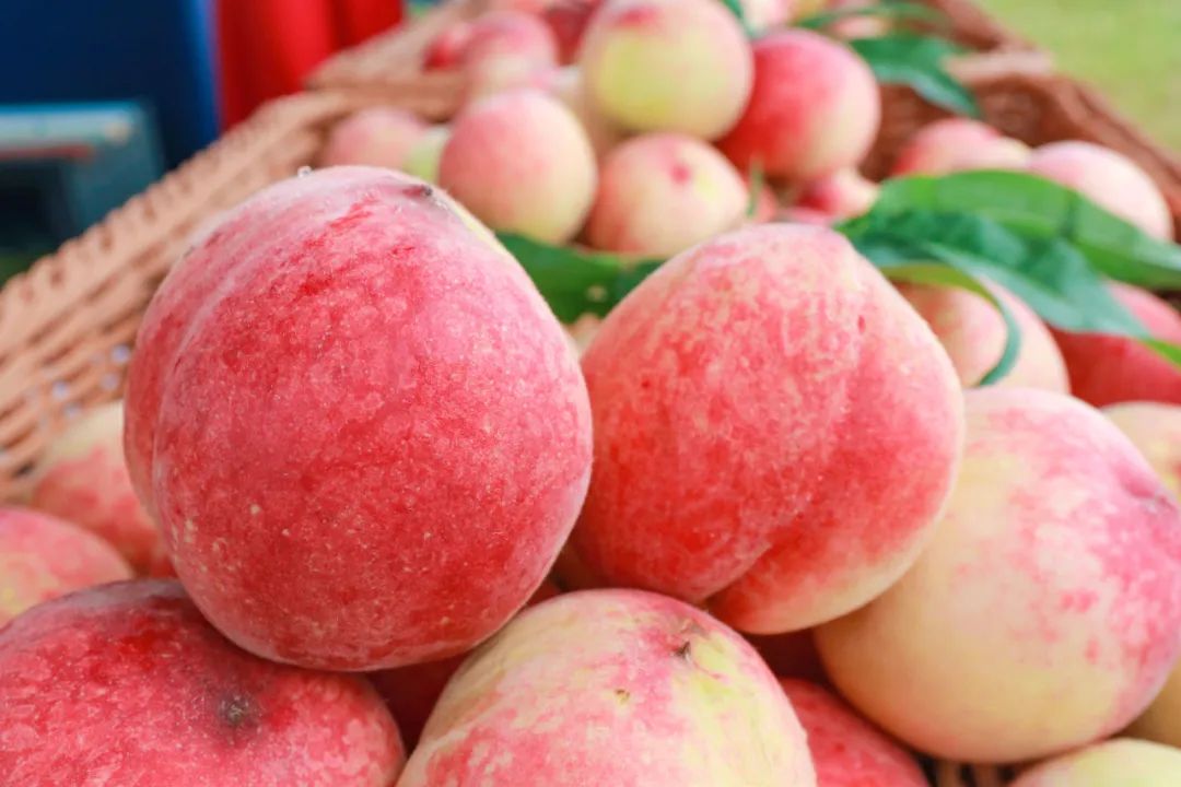 富硒水果哪里买的到好吃（富硒水果前十名）-硒宝网