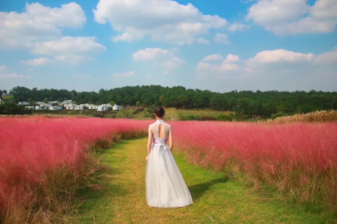 富硒水果哪里买的到好吃（富硒水果前十名）-硒宝网