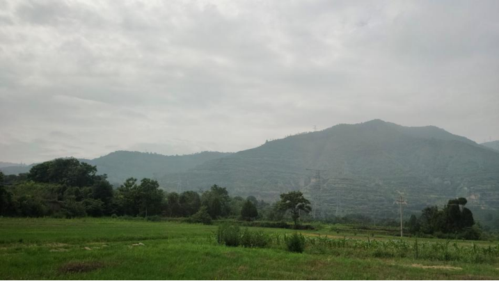 哪些水果是富硒果子类型(果子水果类型富硒是哪种)-硒宝网