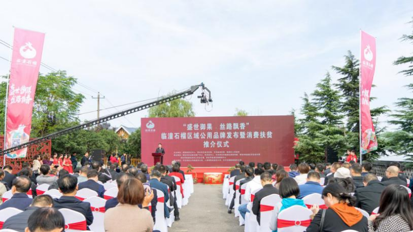 哪些水果是富硒果子类型(果子水果类型富硒是哪种)-硒宝网