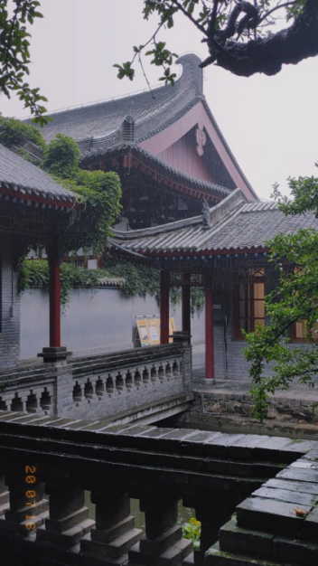 哪些水果是富硒果子类型(果子水果类型富硒是哪种)-硒宝网