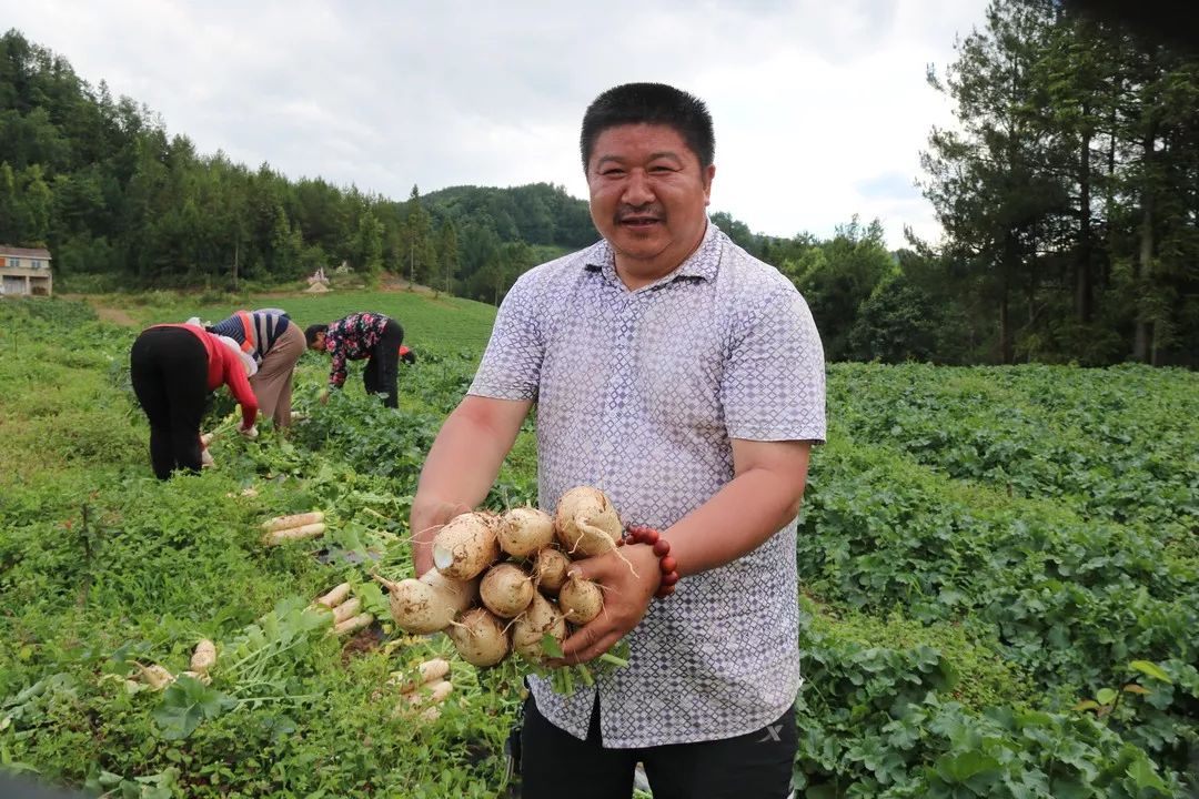 富硒水果作用功效与主治（富硒土豆的功效和作用）-硒宝网