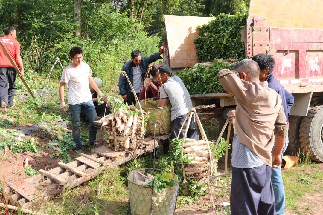 富硒水果作用功效与主治（富硒土豆的功效和作用）-硒宝网