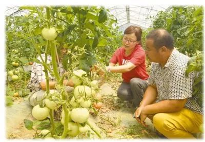 哪些水果是富硒果子类型(果子水果类型富硒是什么意思)-硒宝网