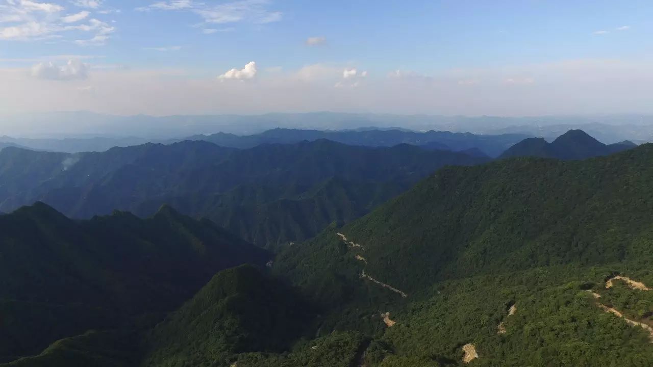 啥水果是富硒果子的味道（果而富硒）-硒宝网