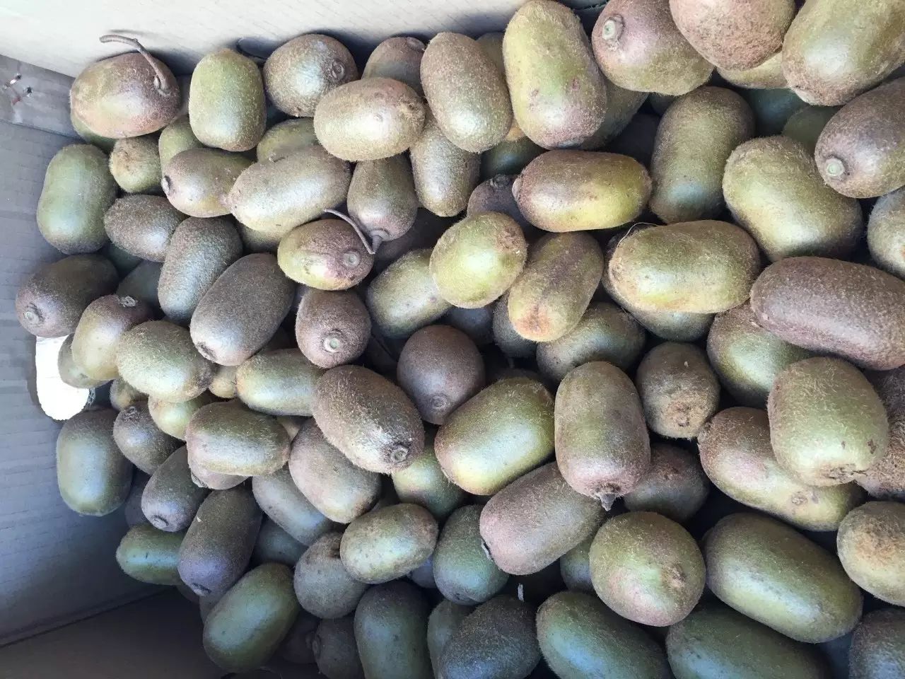 啥水果是富硒果子的味道（果而富硒）-硒宝网