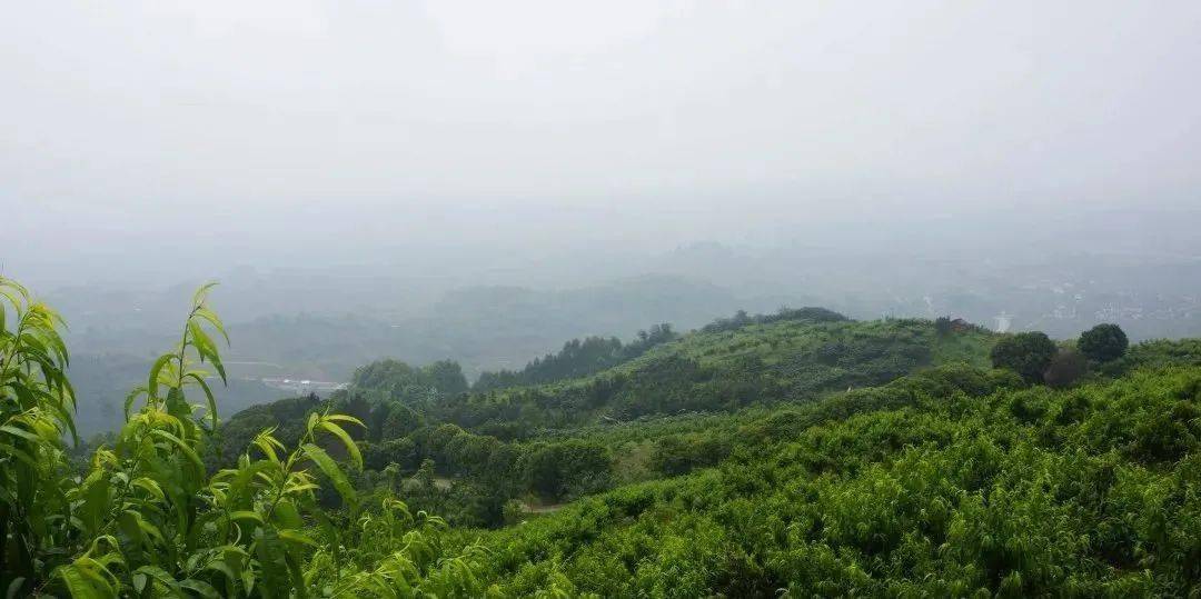 玉黛湖富硒水果采摘价格（玉黛湖富硒水果采摘价格）-硒宝网